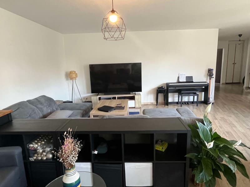 4,5 Zimmer - Frohburgstrasse 322, 8057 Zürich (2)