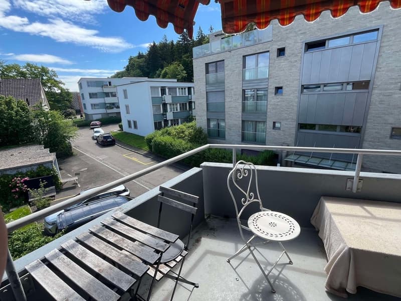 4,5 Zimmer - Frohburgstrasse 322, 8057 Zürich (3)