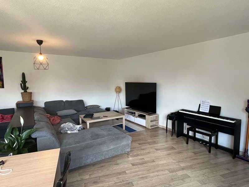 4,5 Zimmer - Frohburgstrasse 322, 8057 Zürich (1)