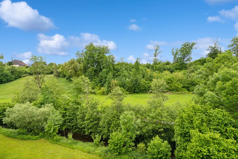 Charmante 3.5 Zimmer-Maisonette-Wohnung mit Blick ins Grüne (5)