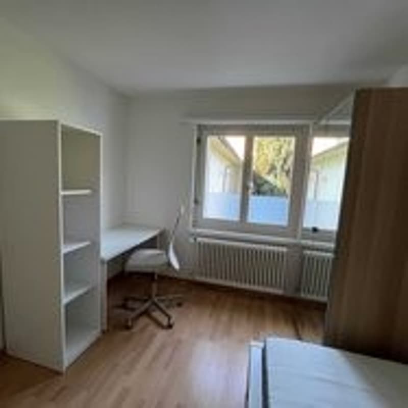 Appartamento 3 locali, 8051 Zürich (3)