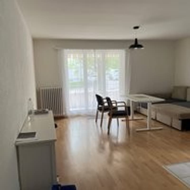 Appartamento 3 locali, 8051 Zürich (2)