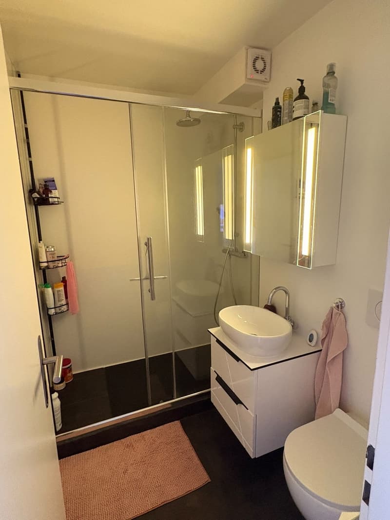 Charmant appartement 2 pièces avec terrasse au 5e étage à Richterswil (5)
