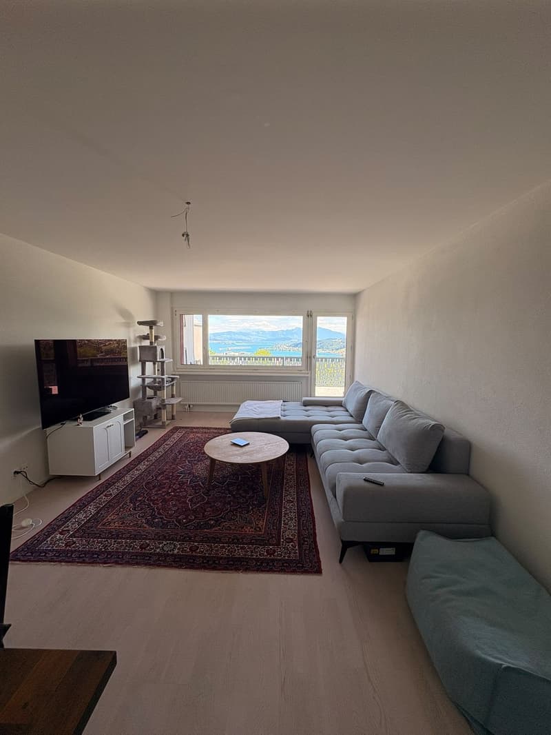 Charmant appartement 2 pièces avec terrasse au 5e étage à Richterswil (1)