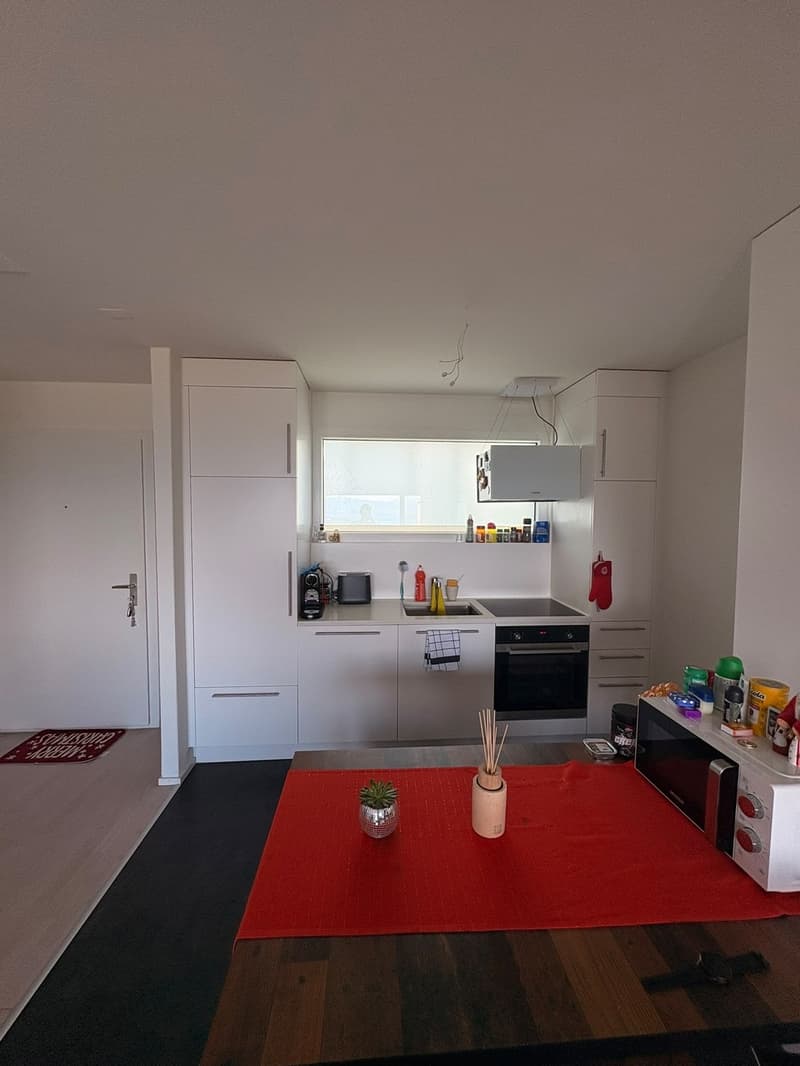Charmant appartement 2 pièces avec terrasse au 5e étage à Richterswil (6)