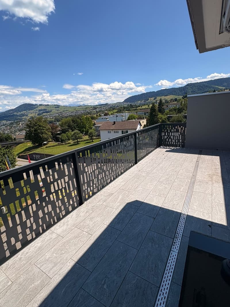 Charmant appartement 2 pièces avec terrasse au 5e étage à Richterswil (3)