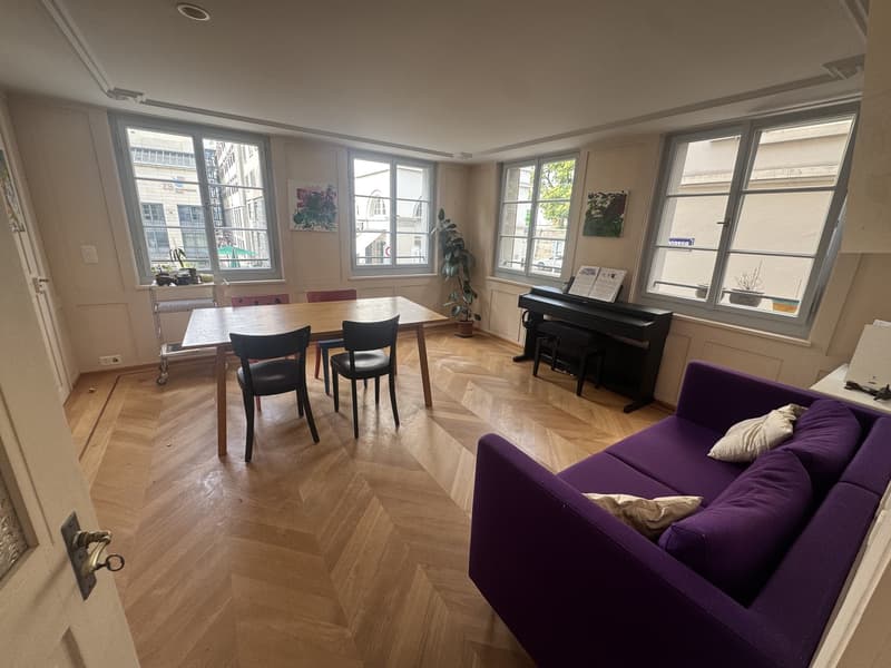 Tolle 3-Zi Wohnung im Herzen Zürichs (1)