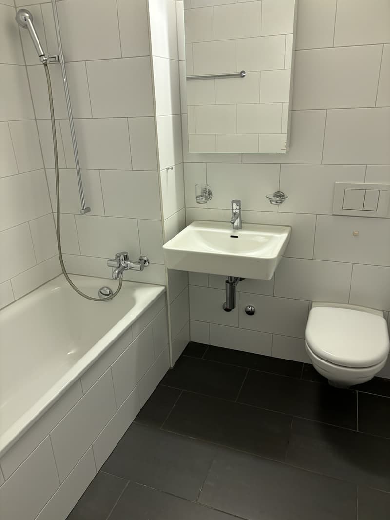 3 ½ room apartment, 3012 Bern (6)
