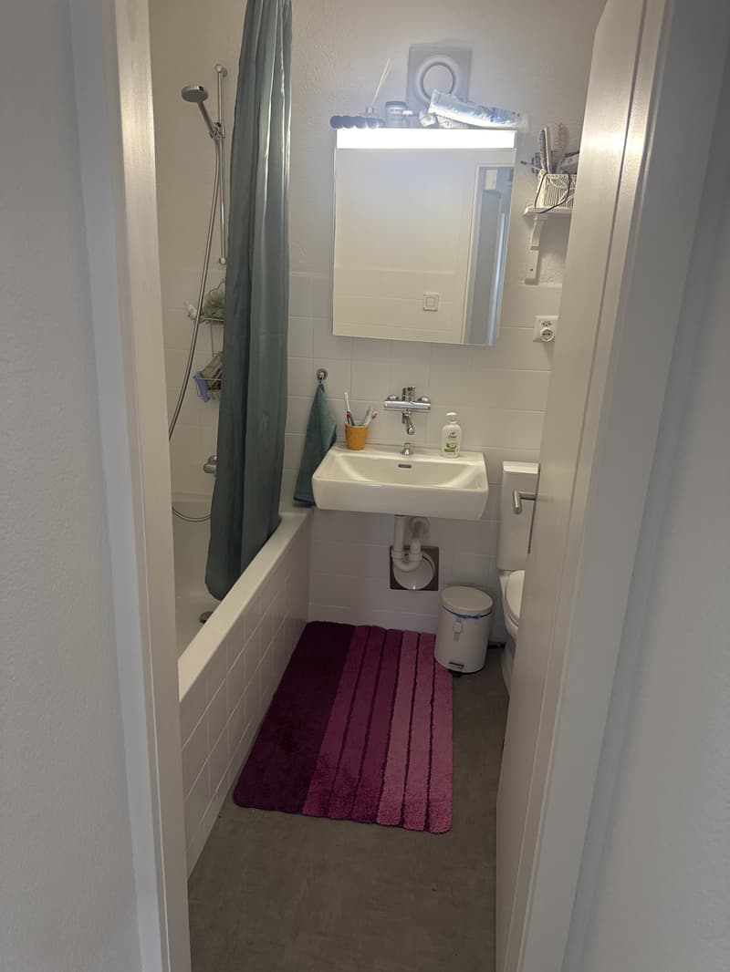 3 1/2 rooms with balcony (9)