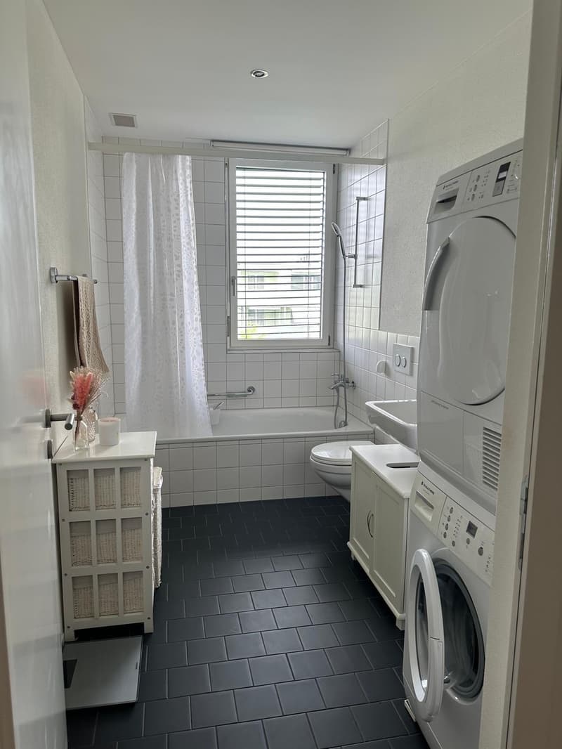 Appartamento 2 ½ locali in affitto a Neuenhof (8)