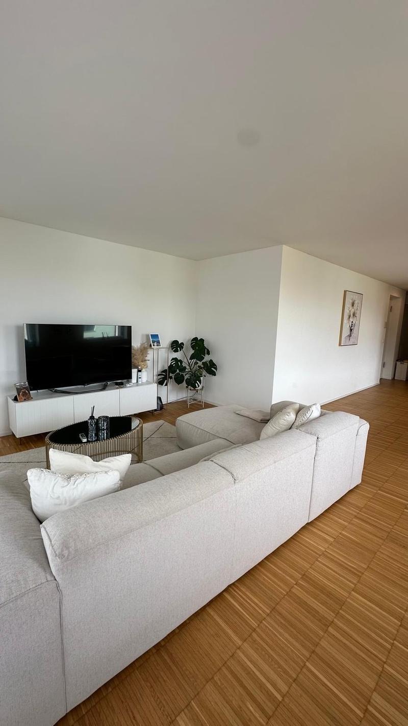 Appartamento 2 ½ locali in affitto a Neuenhof (2)