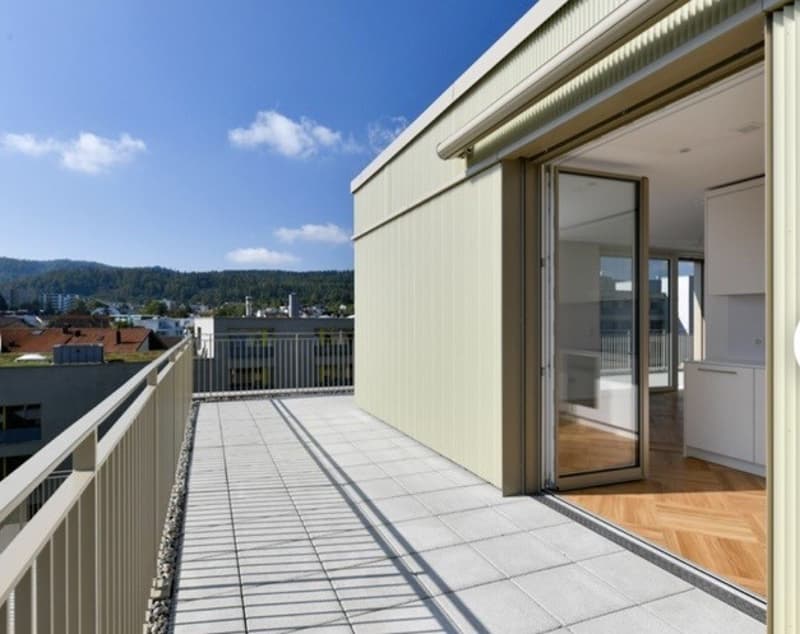 2.5-Zimmerwohnung möbliert | 47 m² | CHF 2950. inkl. Nebenkosten (3)