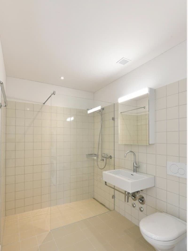 2.5-Zimmerwohnung möbliert | 47 m² | CHF 2950. inkl. Nebenkosten (8)