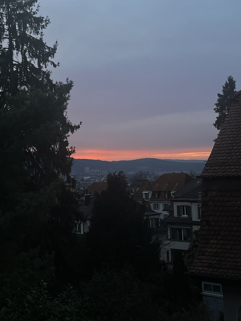 Stilvolle 1-Zimmer-Wohnung im Kreis 7 Zürich (4)