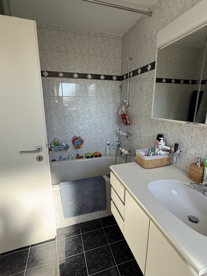 3,5 Zimmer zur Miete in Meilen (12)