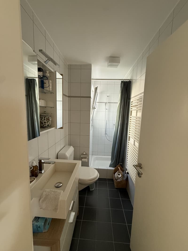 3,5 Zimmer zur Miete in Meilen (6)