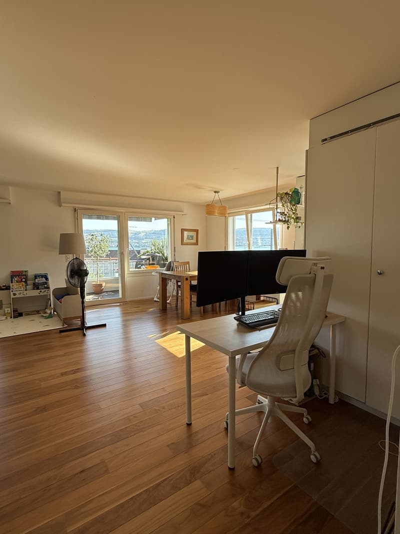 3,5 Zimmer zur Miete in Meilen (5)