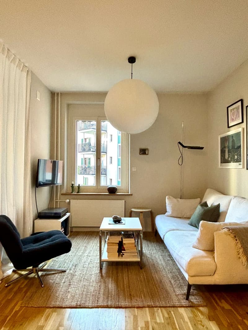 Furnished 1.5-room apartment in Zurich Wiedikon (1)