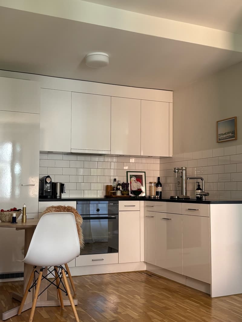 Furnished 1.5-room apartment in Zurich Wiedikon (2)