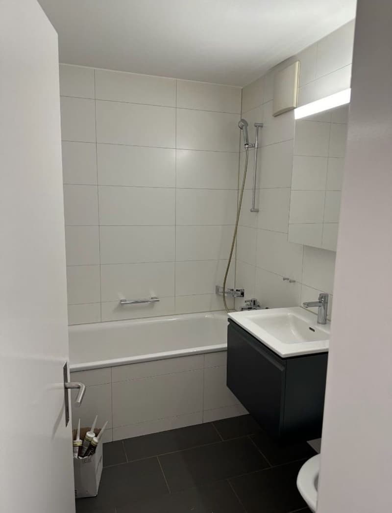 Nachmieter für helle und charmante 2.5-Zimmer-Wohnung mit Balkon (3)