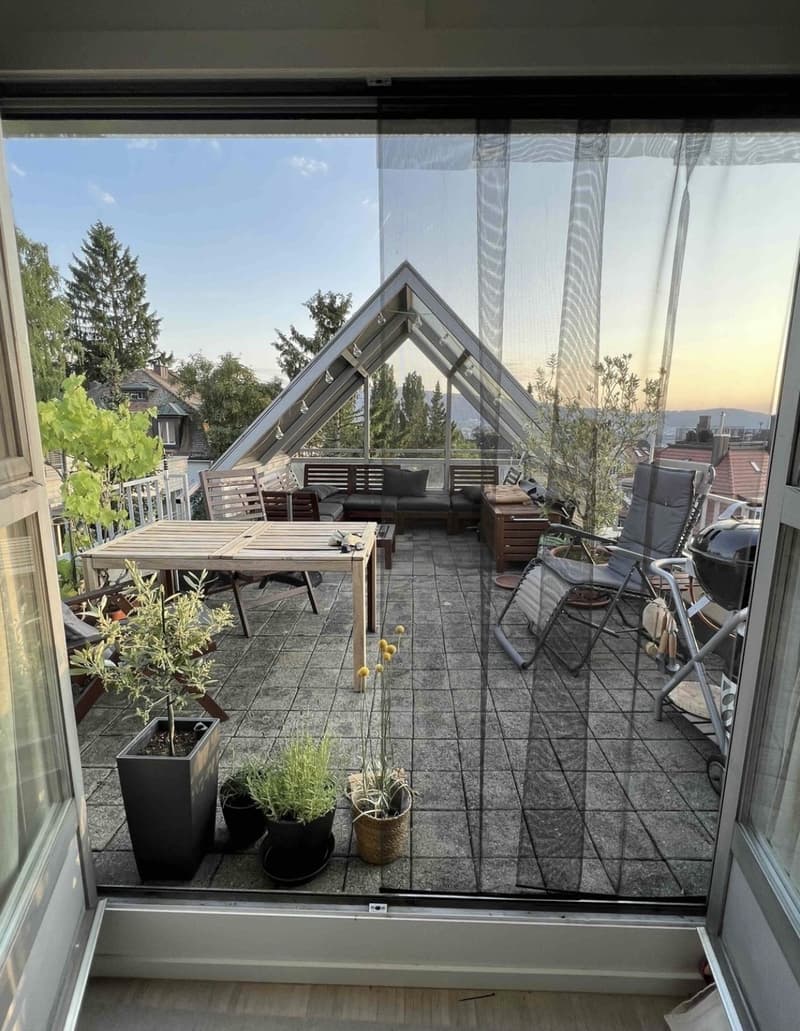 1.5-room maisonette with private rooftop terrace in popular district 6 (8)