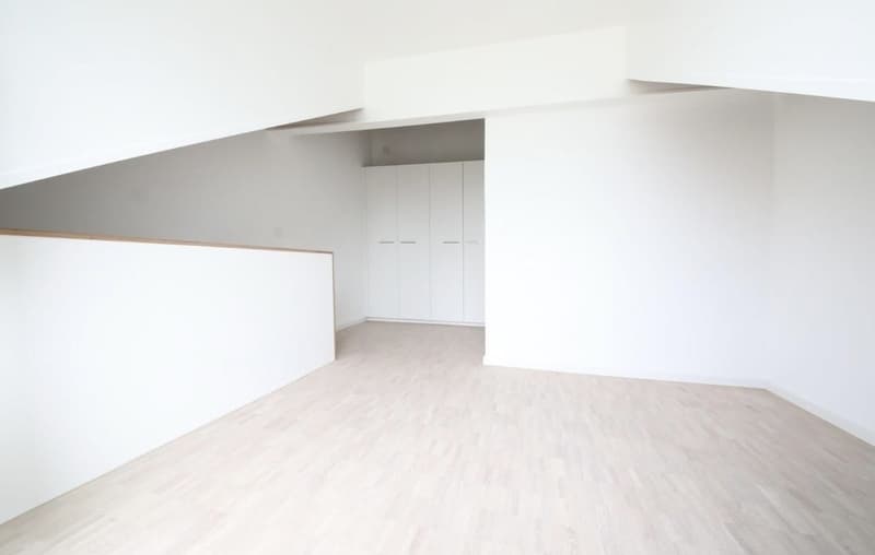 1.5-room maisonette with private rooftop terrace in popular district 6 (3)