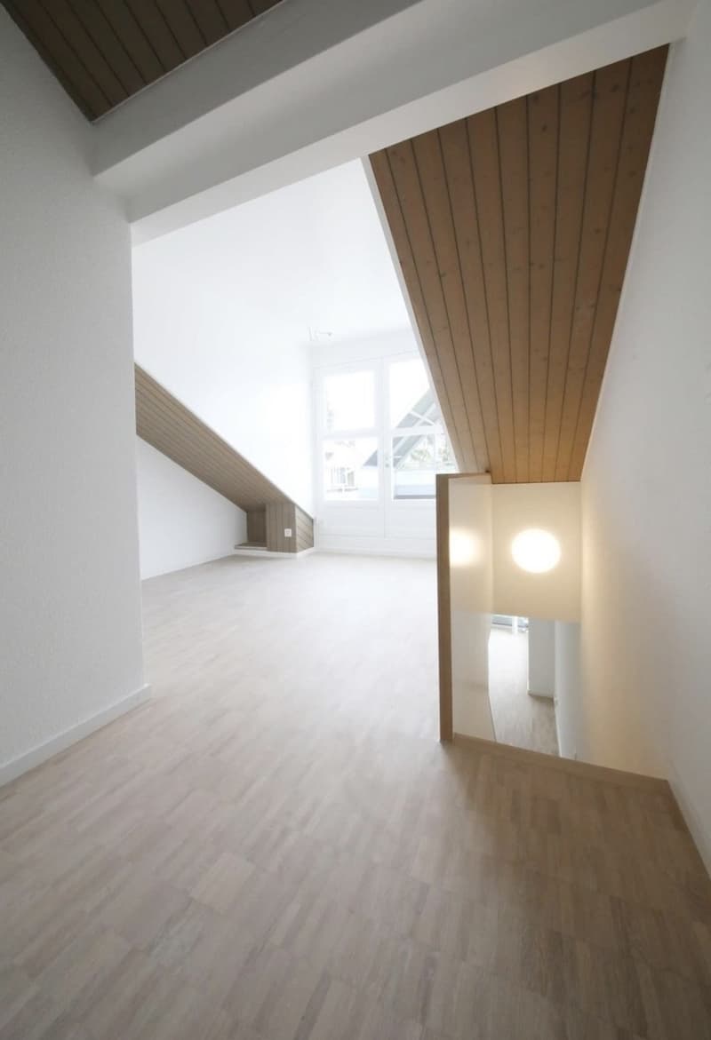 1.5-room maisonette with private rooftop terrace in popular district 6 (7)