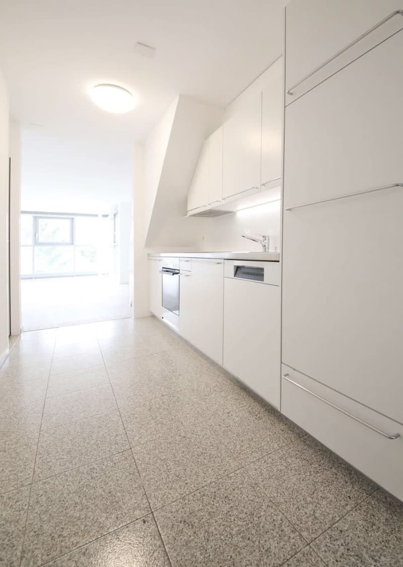 1.5-room maisonette with private rooftop terrace in popular district 6 (10)
