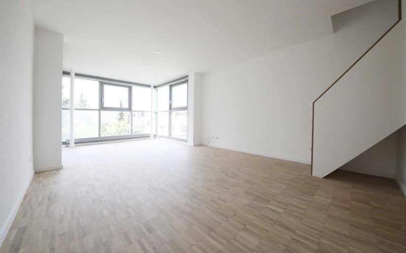 1.5-room maisonette with private rooftop terrace in popular district 6 (1)