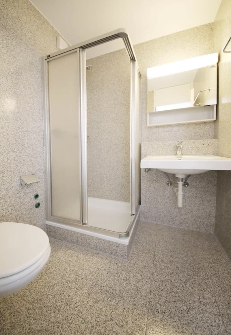 1.5-room maisonette with private rooftop terrace in popular district 6 (4)