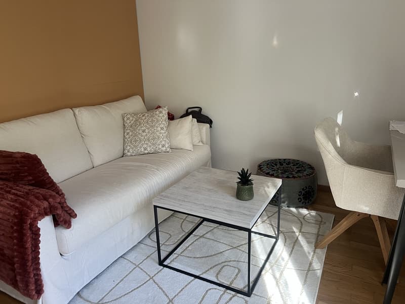Helles 1.5-Zimmer-Apartment mit Terrasse - 6 Minuten vom Bahnhof Oerlikon (1)