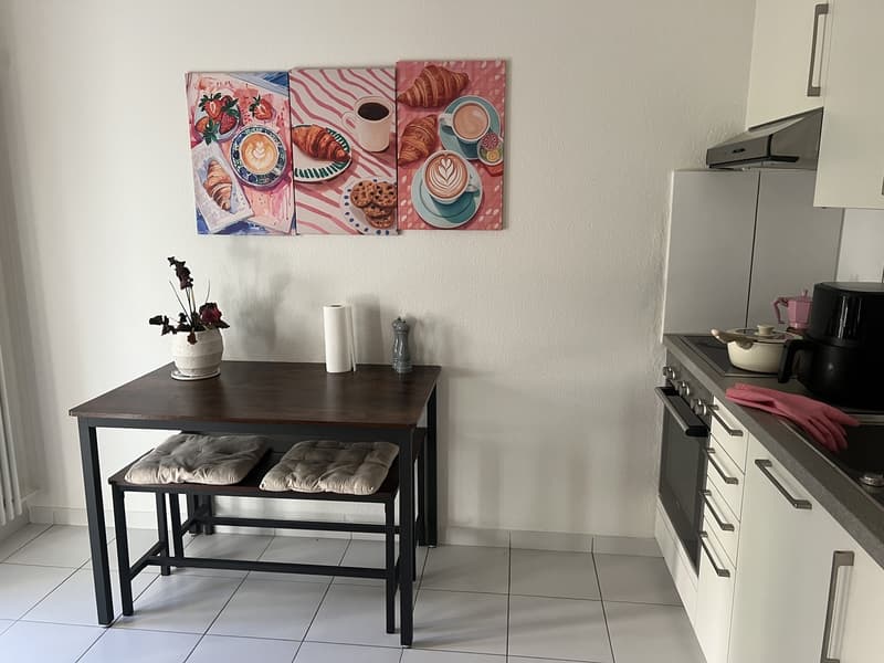 Helles 1.5-Zimmer-Apartment mit Terrasse - 6 Minuten vom Bahnhof Oerlikon (7)