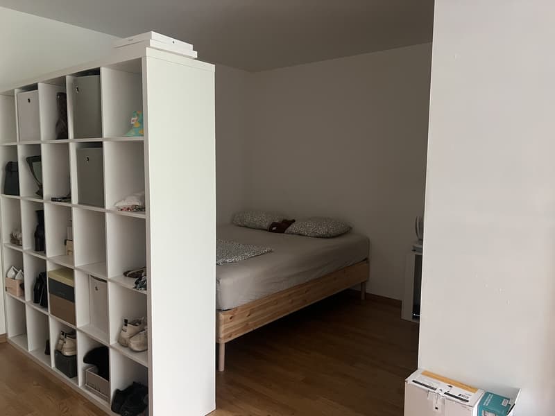 Helles 1.5-Zimmer-Apartment mit Terrasse - 6 Minuten vom Bahnhof Oerlikon (6)