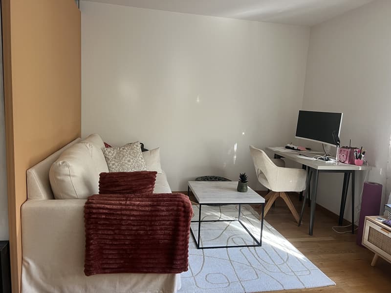 Helles 1.5-Zimmer-Apartment mit Terrasse - 6 Minuten vom Bahnhof Oerlikon (2)