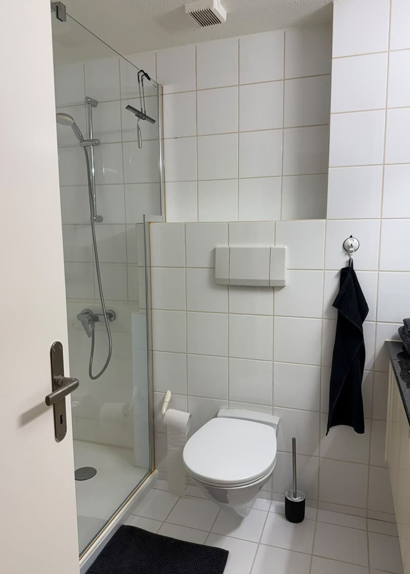 Appartement meublé 2.5 pièces jusqu'au 30.08.2026, central, calme, lumineux (7)
