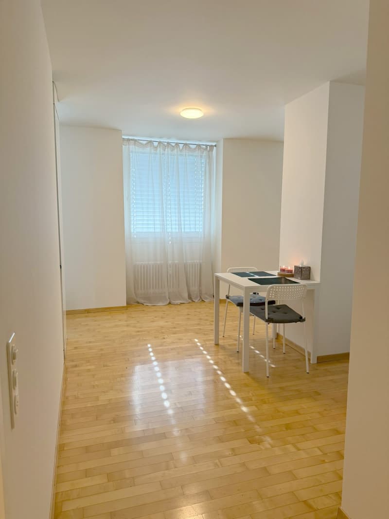 Appartement meublé 2.5 pièces jusqu'au 30.08.2026, central, calme, lumineux (6)