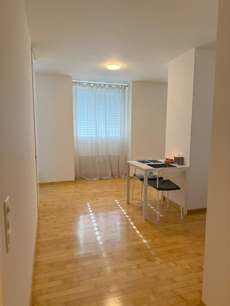 Appartement meublé 2.5 pièces jusqu'au 30.08.2026, central, calme, lumineux (4)