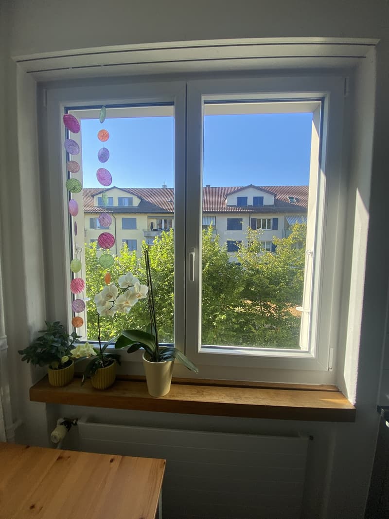 Subtenant for enchanting 3-room apartment in Liebefeld from August 1, 2026 (10)
