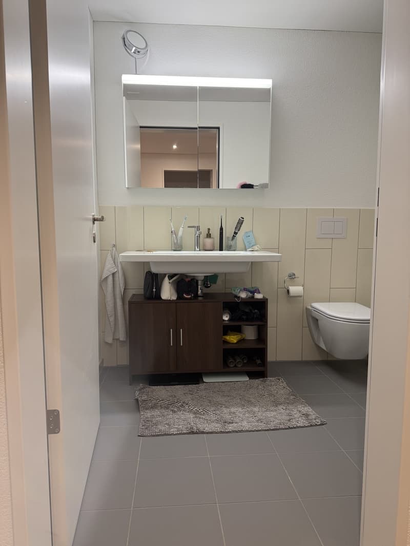 3 ½ Zimmer-Wohnung, 8600 Dübendorf (9)