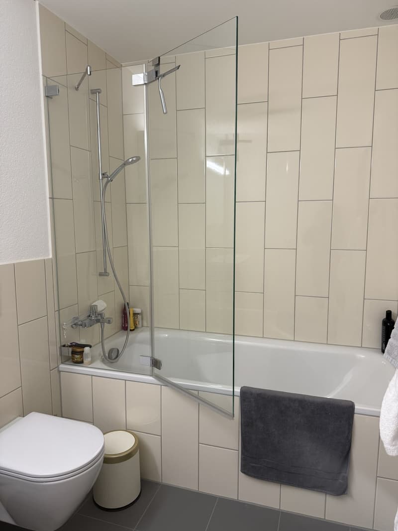 3 ½ Zimmer-Wohnung, 8600 Dübendorf (8)