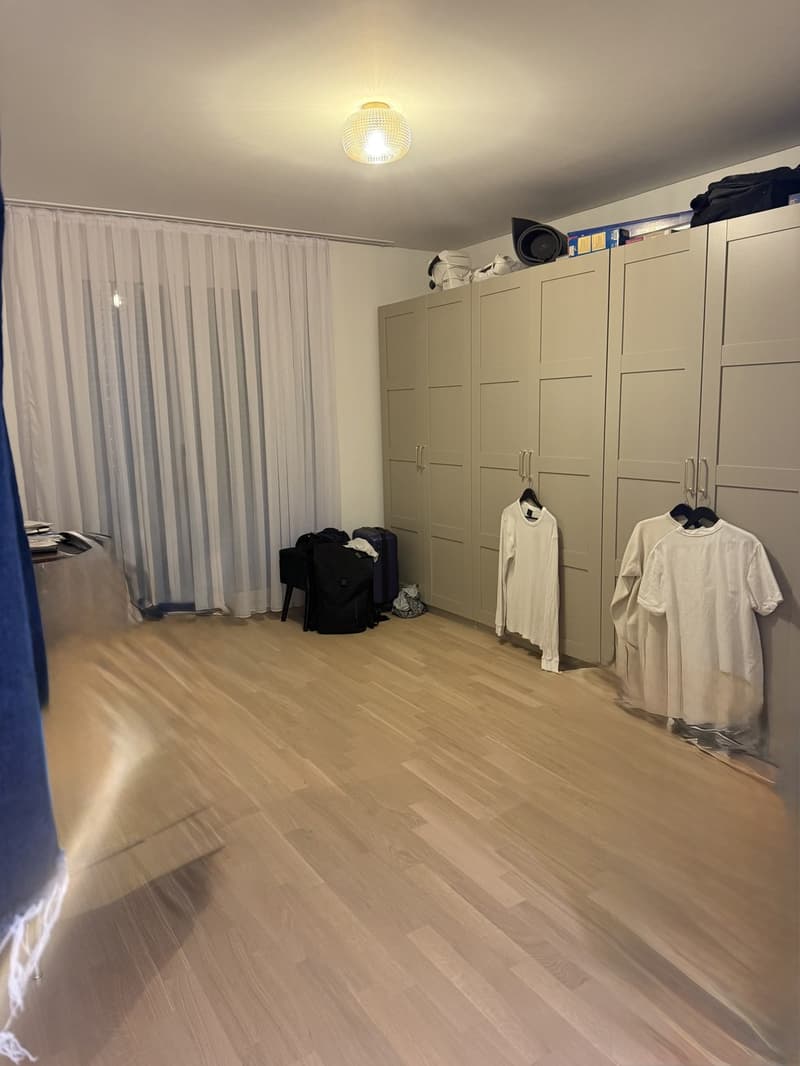 3 ½ Zimmer-Wohnung, 8600 Dübendorf (4)