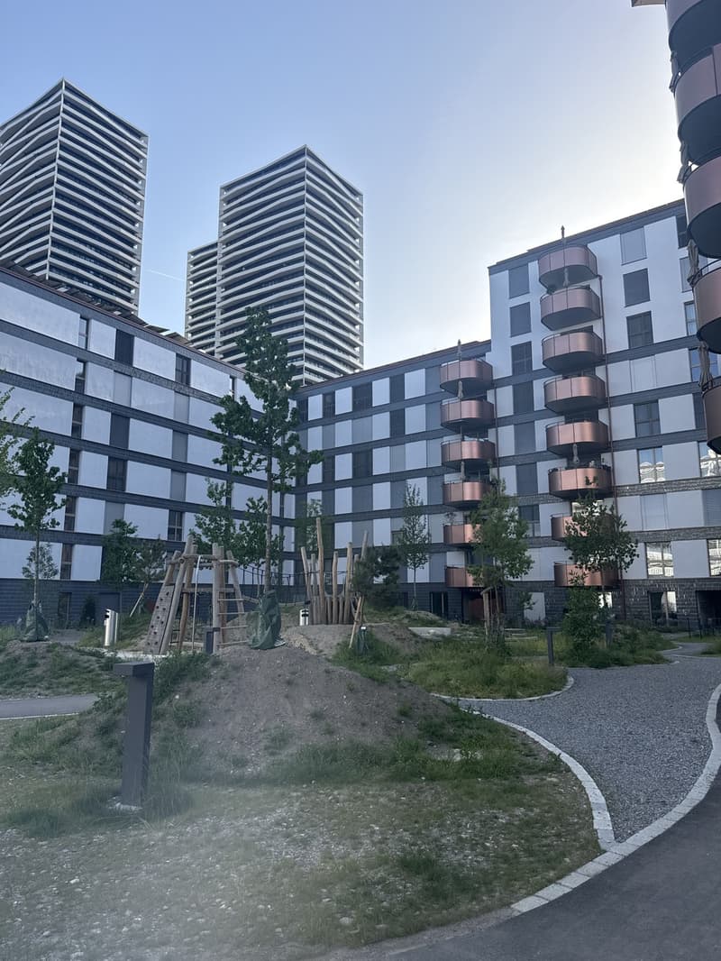 3 ½ Zimmer-Wohnung, 8600 Dübendorf (2)
