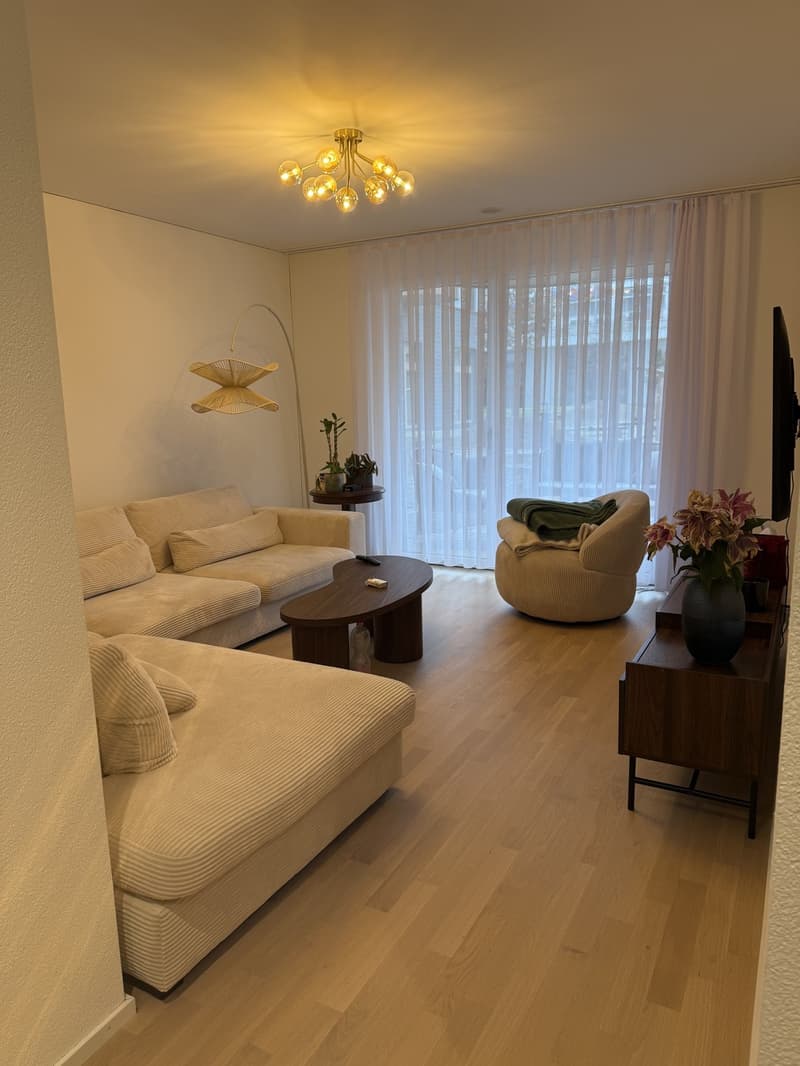 3 ½ Zimmer-Wohnung, 8600 Dübendorf (1)