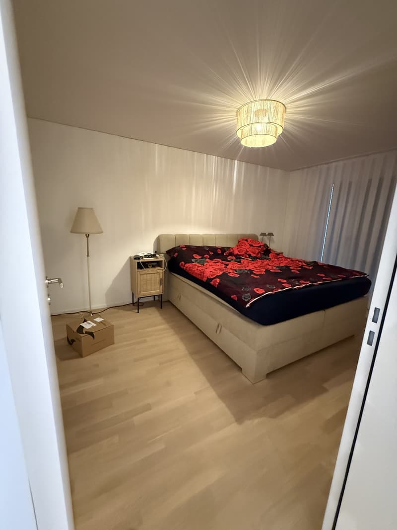 3 ½ Zimmer-Wohnung, 8600 Dübendorf (6)