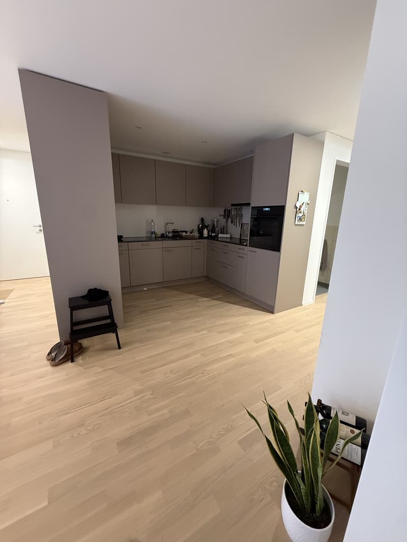 3 ½ Zimmer-Wohnung, 8600 Dübendorf (7)