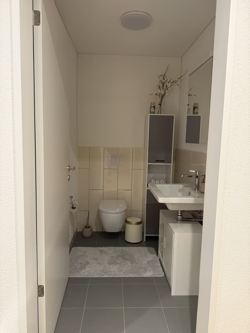 3 ½ Zimmer-Wohnung, 8600 Dübendorf (10)