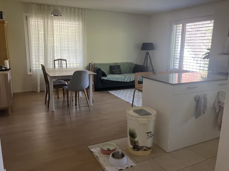 Appartamento 4,5 locali 1° piano con giardino (3)