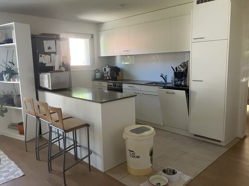 Appartamento 4,5 locali 1° piano con giardino (4)