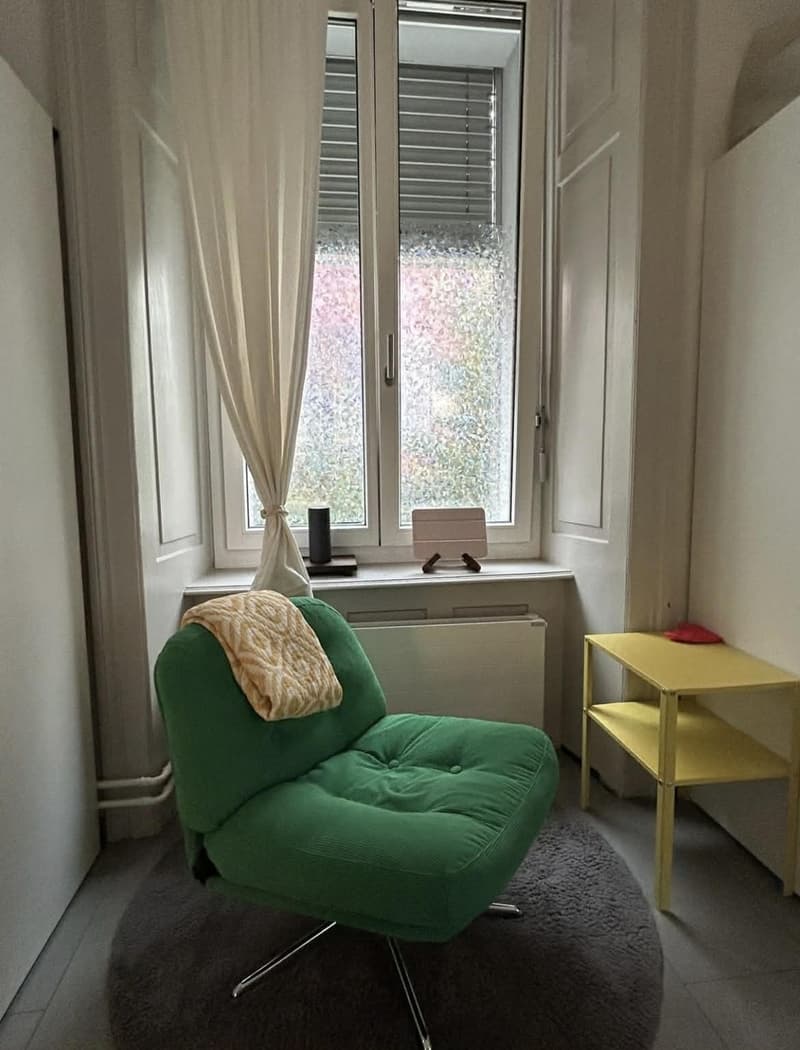Charmantes Apartment im Herzen von Wiedikon (6)