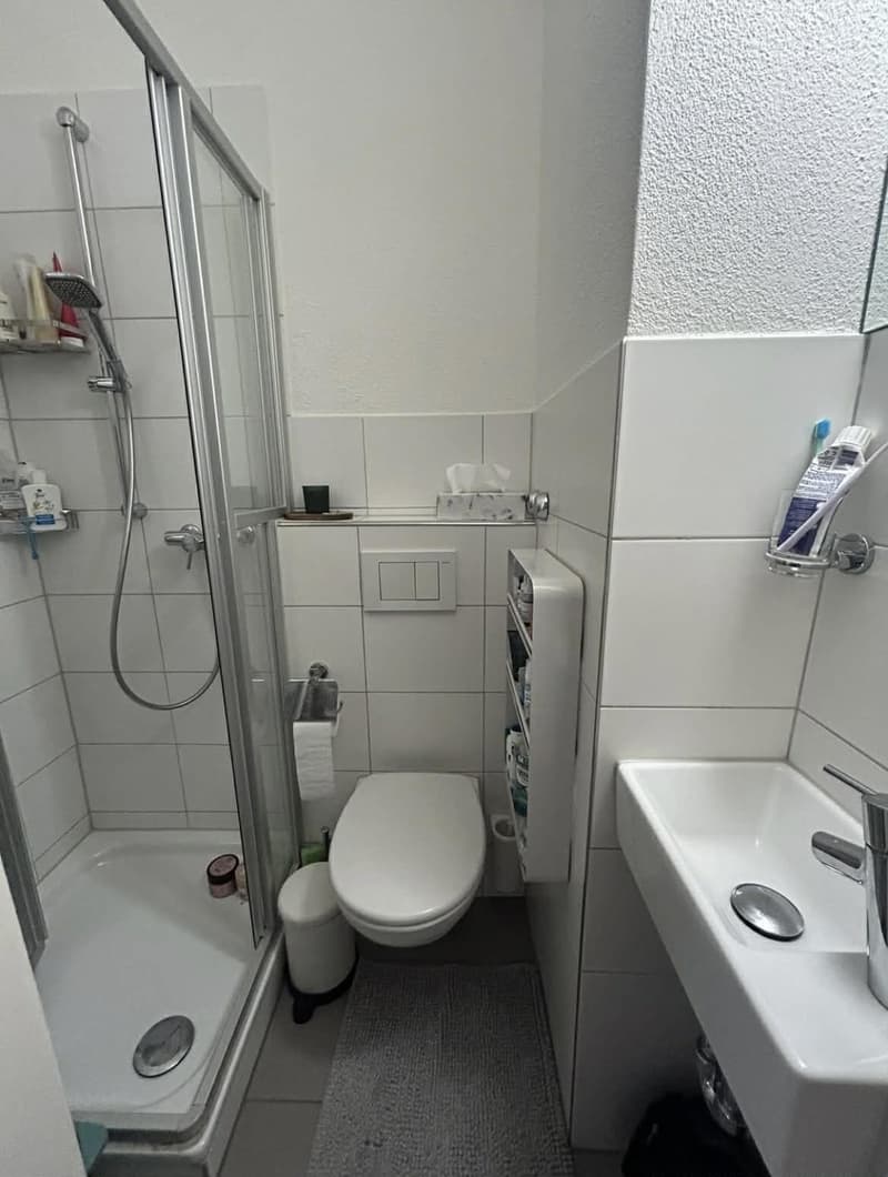 Charmantes Apartment im Herzen von Wiedikon (8)